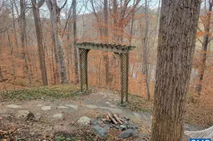 60 Chippewa Ln, Palmyra, VA 22963 - Photo 59