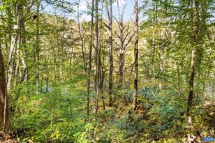 60 Chippewa Ln, Palmyra, VA 22963 - Photo 27