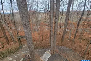 60 Chippewa Ln, Palmyra, VA 22963 - Photo 73