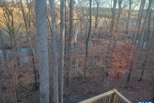 60 Chippewa Ln, Palmyra, VA 22963 - Photo 25