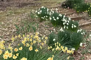 48 Jennings Dr, Palmyra, VA 22963 - Photo 31