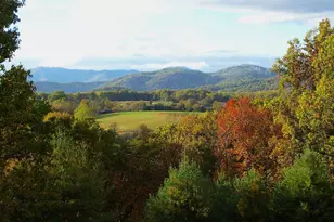 298 Courthouse Mountain Ln, Madison, VA 22727 - Photo 9