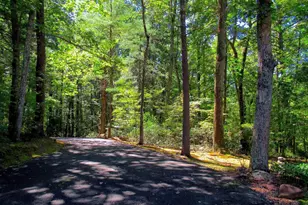 298 Courthouse Mountain Ln, Madison, VA 22727 - Photo 67