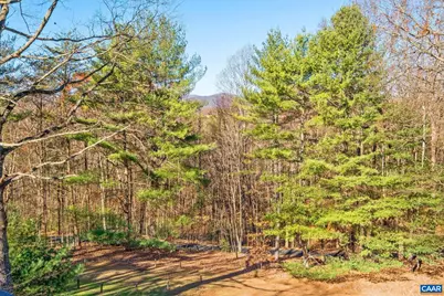 298 Courthouse Mountain Ln, Madison, VA 22727 - Photo 59