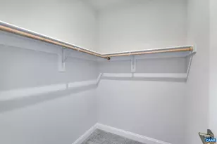 L1-63 Bear Island Parkway, Zion Crossroads, VA 22942 - Photo 37