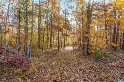 0 Dell Perkins Rd, Louisa, VA 23093 - Photo 5