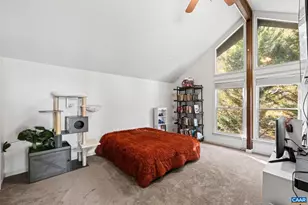 107 Pine Bluff Rd, Ruckersville, VA 22968 - Photo 31