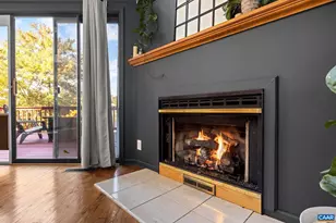 107 Pine Bluff Rd, Ruckersville, VA 22968 - Photo 11