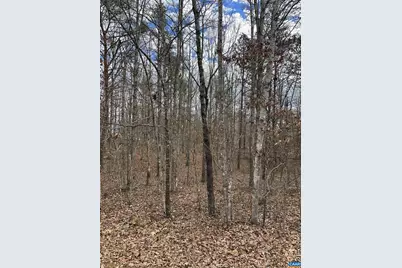 Lot 220 Pinehurst Dr #220, Louisa, VA 23093 - Photo 3