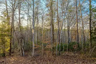 0 Hopi Way, Palmyra, VA 22963 - Photo 3
