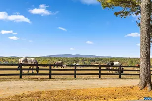 789 Pinehurst Dr, Gordonsville, VA 22942 - Photo 73