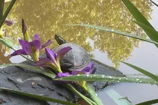 214 Toms Rd, Barboursville, VA 22923 - Photo 51