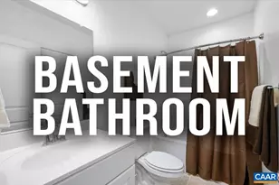 481 Country Creek Way, Palmyra, VA 22963 - Photo 33