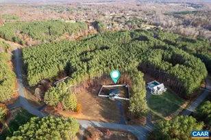 481 Country Creek Way, Palmyra, VA 22963 - Photo 67