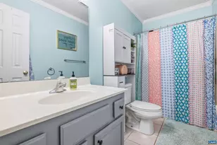 29 Choctaw Pl, Palmyra, VA 22963 - Photo 31