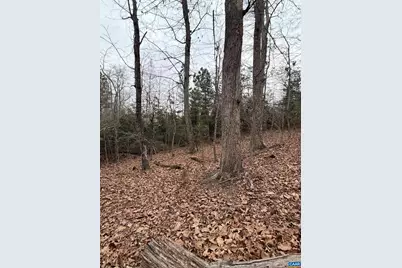 2 Goodman Ln, Palmyra, VA 22963 - Photo 5