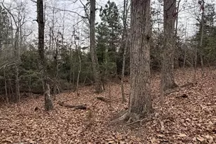 2 Goodman Ln, Palmyra, VA 22963 - Photo 5