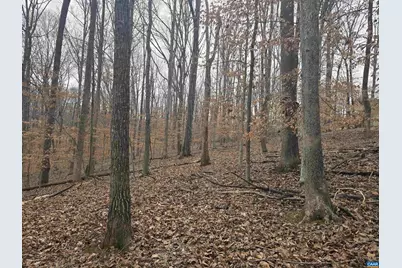 0 Barrett St, Palmyra, VA 22963 - Photo 3