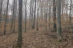 0 Barrett St, Palmyra, VA 22963 - Photo 3