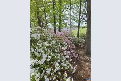 987 Matthew Mill Rd, Ruckersville, VA 22968 - Photo 39