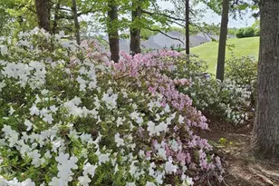 987 Matthew Mill Rd, Ruckersville, VA 22968 - Photo 39