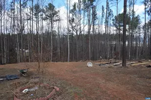 3364 Dogwood Dr, Palmyra, VA 22963 - Photo 29