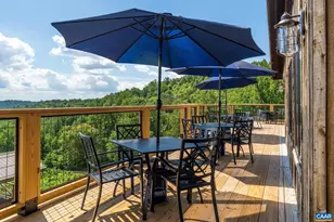 1376A Wyatt Mountain Rd, Dyke, VA 22935 - Photo 47