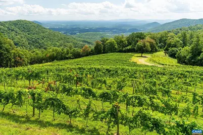 1376A Wyatt Mountain Rd, Dyke, VA 22935 - Photo 17