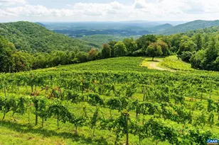 1376A Wyatt Mountain Rd, Dyke, VA 22935 - Photo 17