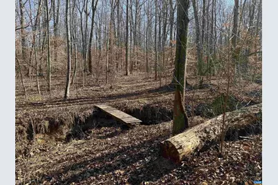 2019 Bybee Rd, Louisa, VA 23093 - Photo 41