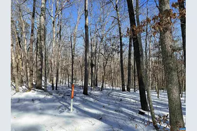 02 Beaverdam Rd #2, Keswick, VA 22947 - Photo 1