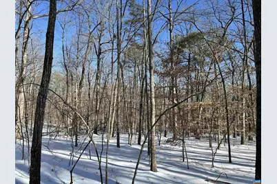 02 Beaverdam Rd #2, Keswick, VA 22947 - Photo 5