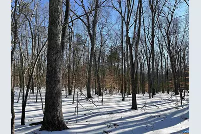 001 Beaver Dam Rd, Keswick, VA 22947 - Photo 5