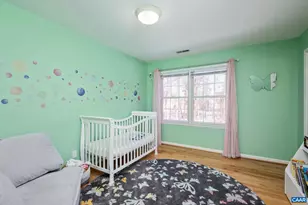 237 Spring Haven Ln, Ruckersville, VA 22968 - Photo 23