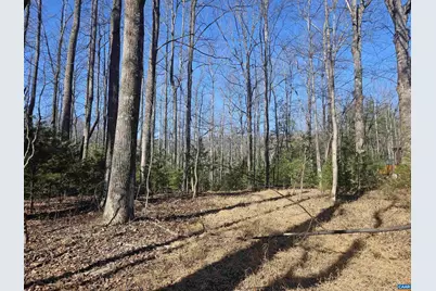 Tbd Lot 56G Turkey Ridge Rd #56G, Stanardsville, VA 22973 - Photo 3