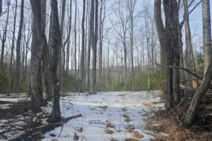 1521 Turkey Ridge Rd, Stanardsville, VA 22973 - Photo 1