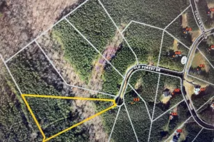 Lot 57 Old Forest Dr, Palmyra, VA 22963 - Photo 1