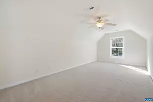 376 Lake Dr, Ruckersville, VA 22968 - Photo 49