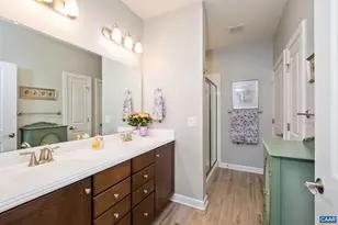 113 Mulberry Dr, Palmyra, VA 22963 - Photo 17