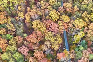 2395 Beaverdam Rd, Keswick, VA 22947 - Photo 53