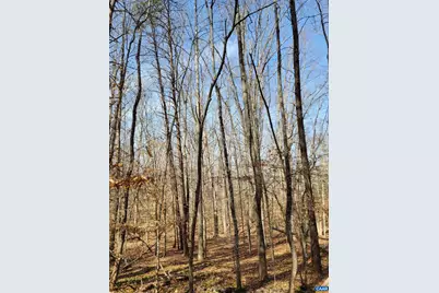 0 Lexie Ln, Palmyra, VA 22963 - Photo 5