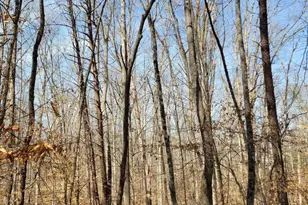 0 Lexie Ln, Palmyra, VA 22963 - Photo 5