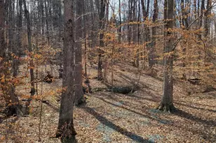 0 Lexie Ln, Palmyra, VA 22963 - Photo 3