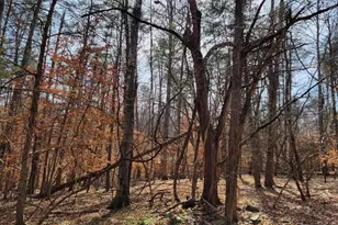 0 Lexie Ln, Palmyra, VA 22963 - Photo 9