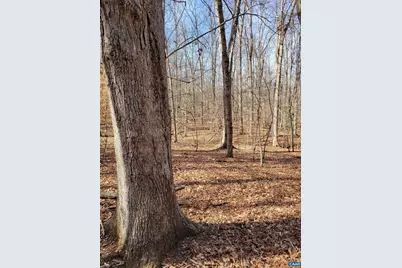 0 Lexie Ln, Palmyra, VA 22963 - Photo 7