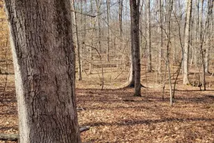 0 Lexie Ln, Palmyra, VA 22963 - Photo 7