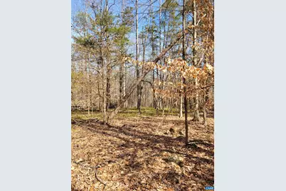 0 Lexie Ln, Palmyra, VA 22963 - Photo 9