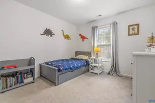 366 Country Creek Way, Palmyra, VA 22963 - Photo 33