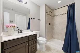 186 Blackberry Pl, Zion Crossroads, VA 22942 - Photo 41