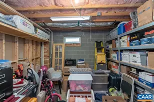 665 Fox Hollow Ln, Palmyra, VA 22963 - Photo 53